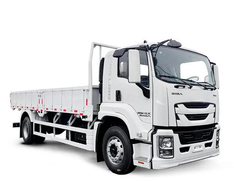 QINGLING GIGA FTR QL1180 (10 TONELADAS)