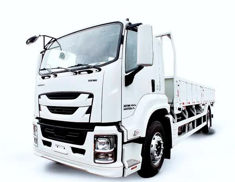 QINGLING GIGA FTR QL1180 (10 TONELADAS)