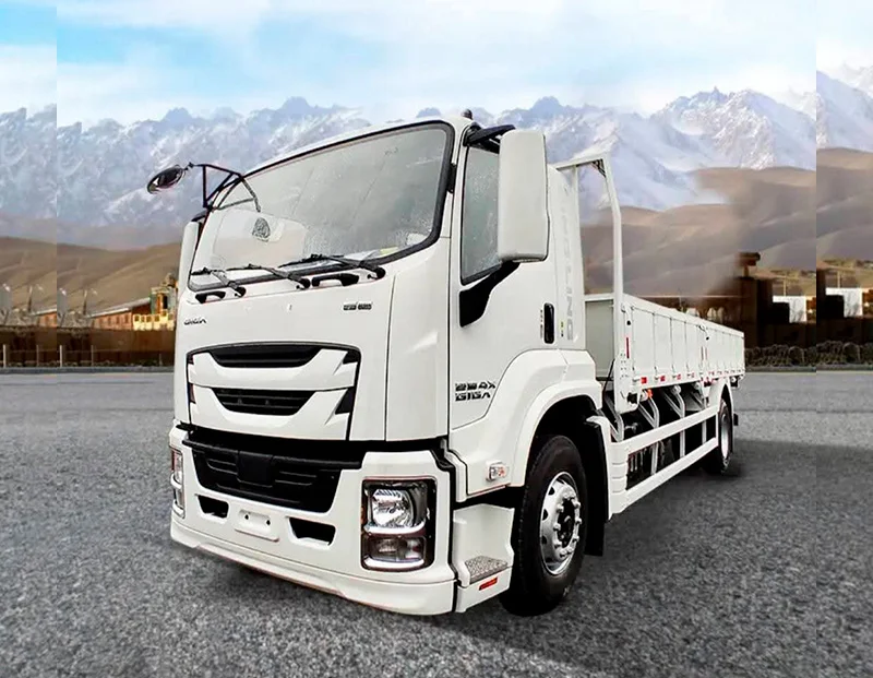 QINGLING GIGA FTR QL1180 (10 TONELADAS)