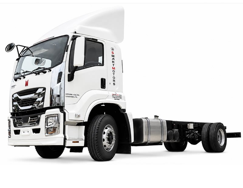 QINGLING GIGA FTR QL1180 (10 TONELADAS)